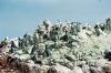 (c) Copyright - Raphael Kessler 2011 - Peru - Ballestas Islands - Penguins