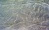 (c) Copyright - Raphael Kessler 2011 - Peru - Nazca and Palpa lines - Monkey