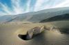 (c) Copyright - Raphael Kessler 2011 - Peru - Toro Muerto Petroglyphs - Rock