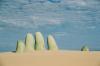 (c) Copyright Raphael Kessler 2011 - Uruguay - Punte del Este - Hand in the sand